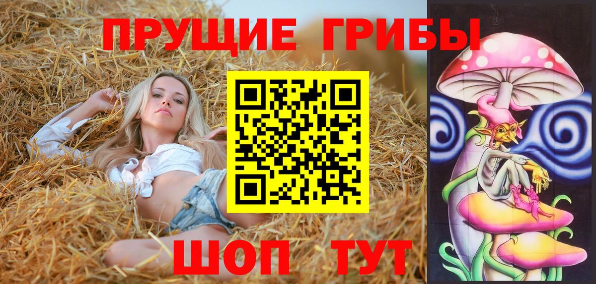 Галлюциногенные грибы MAGIC MUSHROOMS  Вход с VPN  Ставрополь 