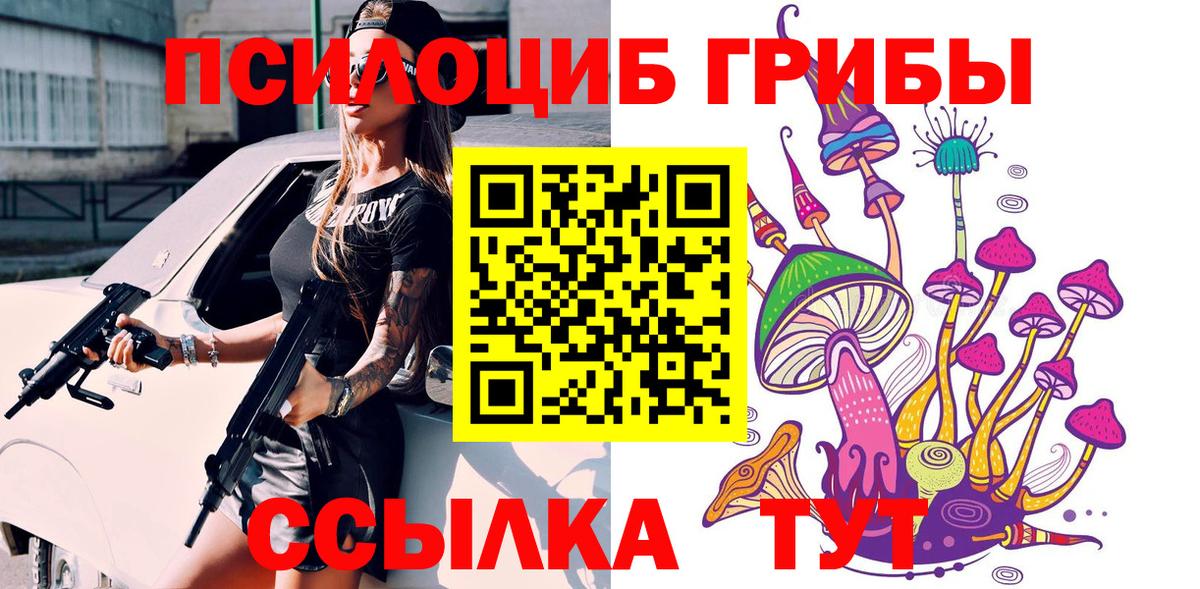 Галлюциногенные грибы Cubensis Ставрополь